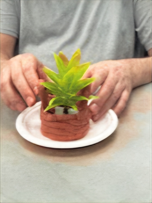 Community and activities: hands holding a small plant
